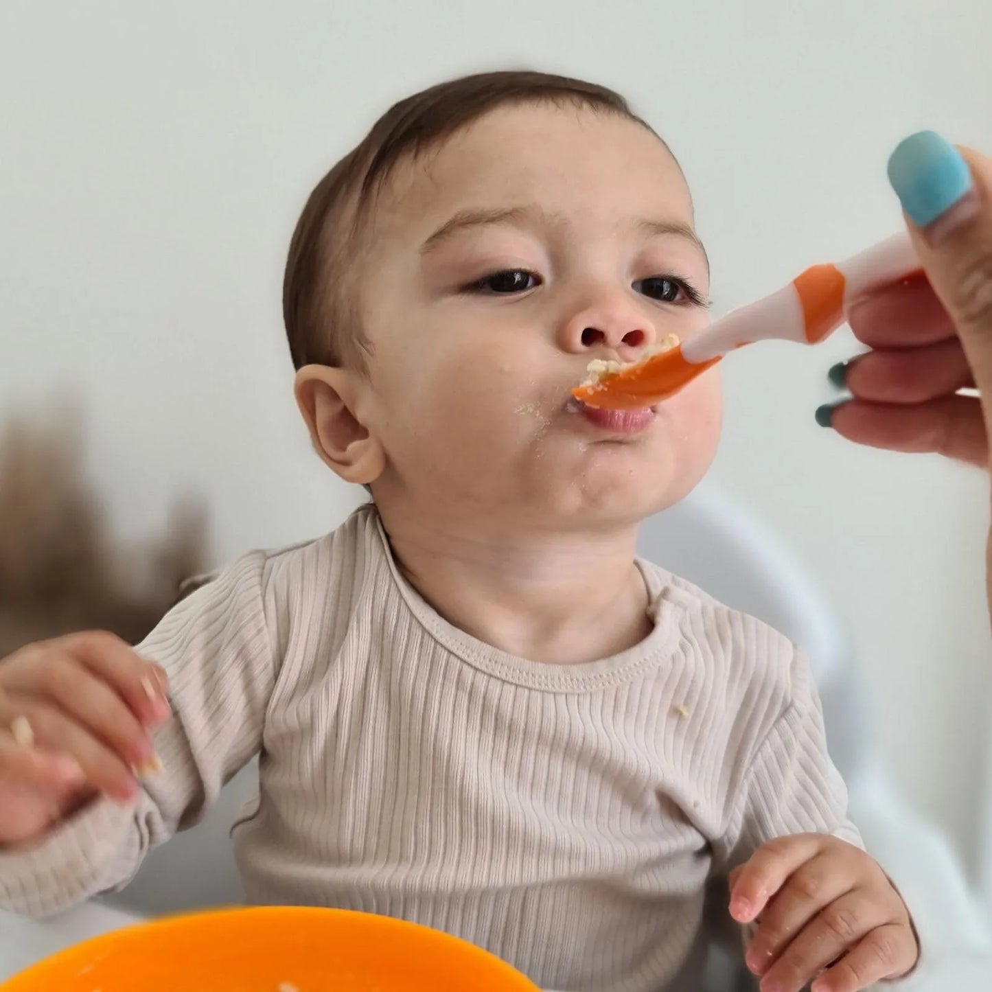 Nuby Weaning Spoons Pack of 6