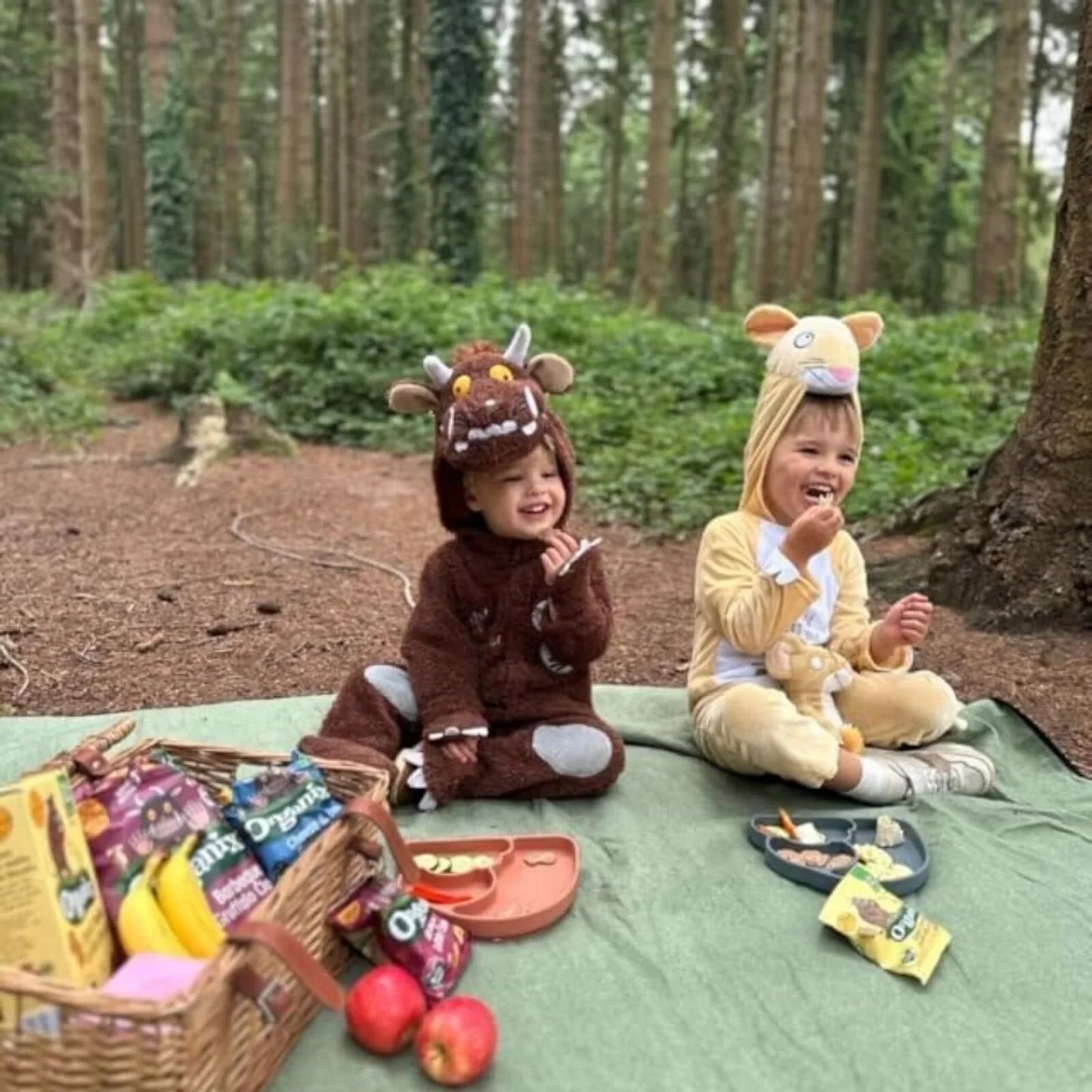 Organix Gruffalo Apple Crumble Oaty Bar 12+ months 138g (6x23g)