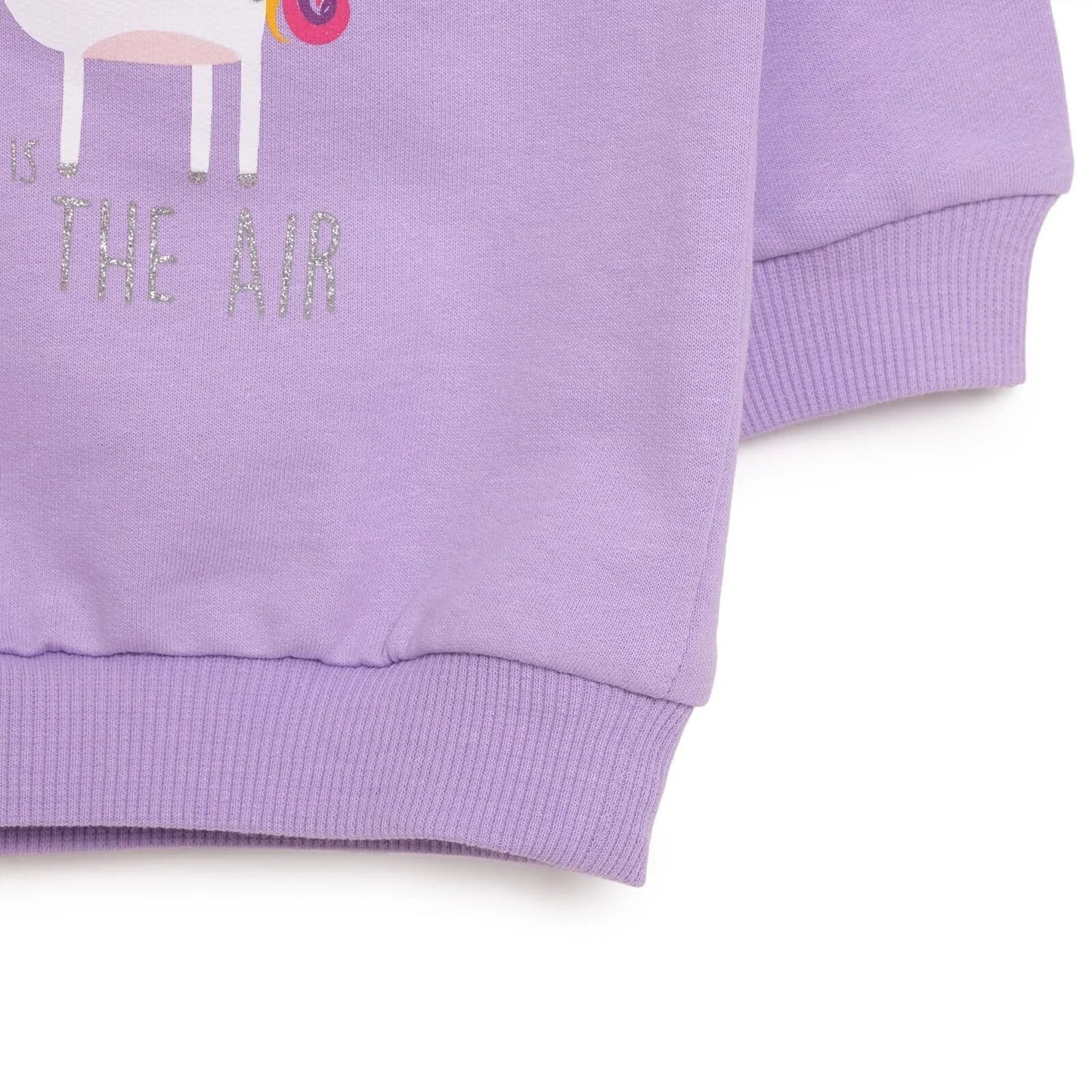 HelloBaby Baby Girl Unicorn Printed Sweatshirt - Purple
