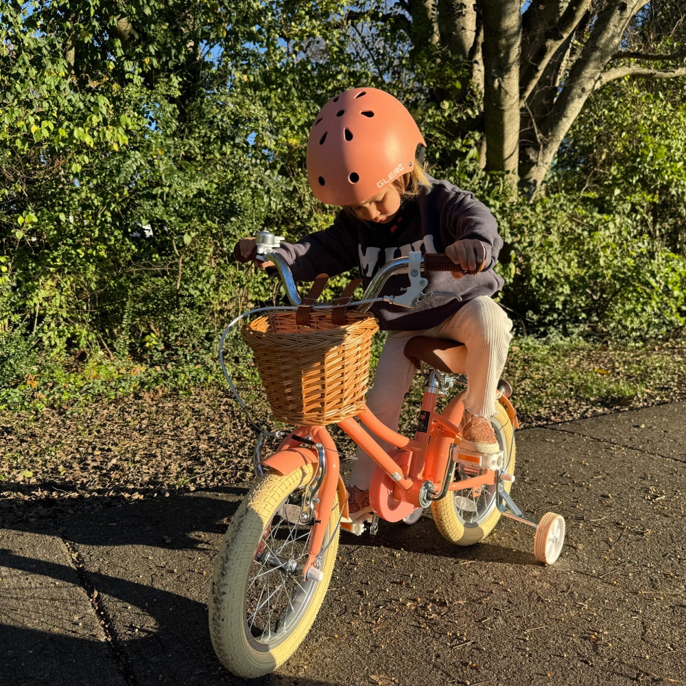 Glerc 16 Inch Kids Bike For 4 - 8 Years Old - Little Molly