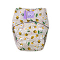 Revolutionary Reusable Nappy in Busy Bees
