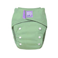Revolutionary Reusable Nappy in Mint