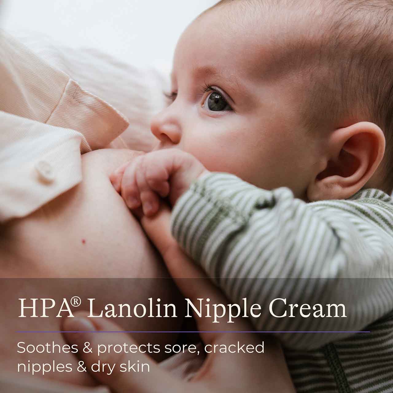 Lansinoh Lanolin Nipple Cream 10mls