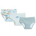HelloBaby 3 Pack Striped Dinosaur Print Baby Briefs (12 Months to 4-5 Years)