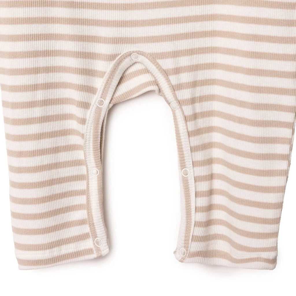 HelloBaby Lion Print Footless Baby Sleepsuit (Newborn to 6-9 Months)