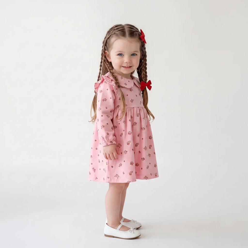 HelloBaby Long Sleeve Baby Dress (3-6 Months to 4-5 Years)