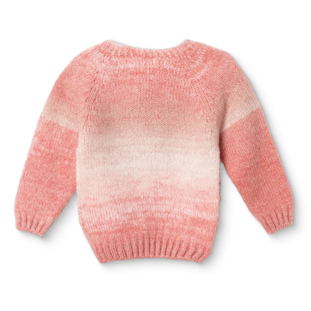 HelloBaby Baby Jumper (9-12 Months to 4-5 Years)