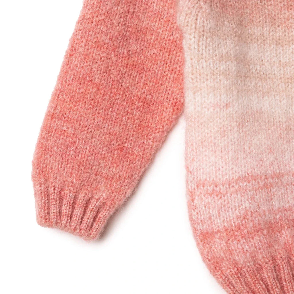 HelloBaby Baby Jumper (9-12 Months to 4-5 Years)