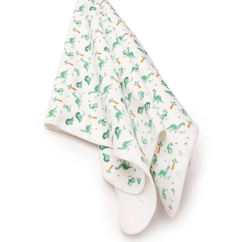 Little Dreams Dinosaur Print Baby Blanket (90 x 100 cm)