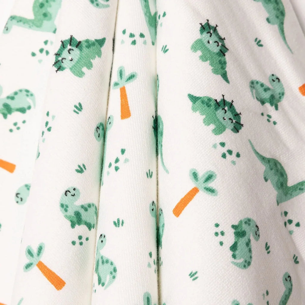 Little Dreams Dinosaur Print Baby Blanket (90 x 100 cm)