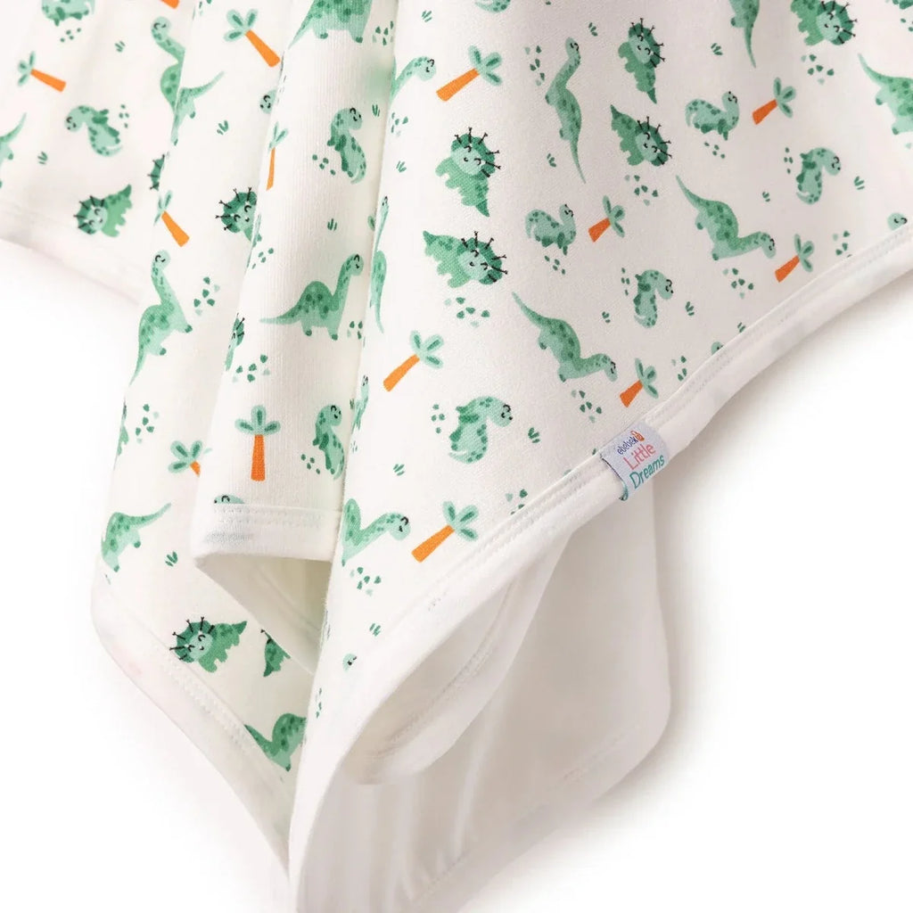 Little Dreams Dinosaur Print Baby Blanket (90 x 100 cm)