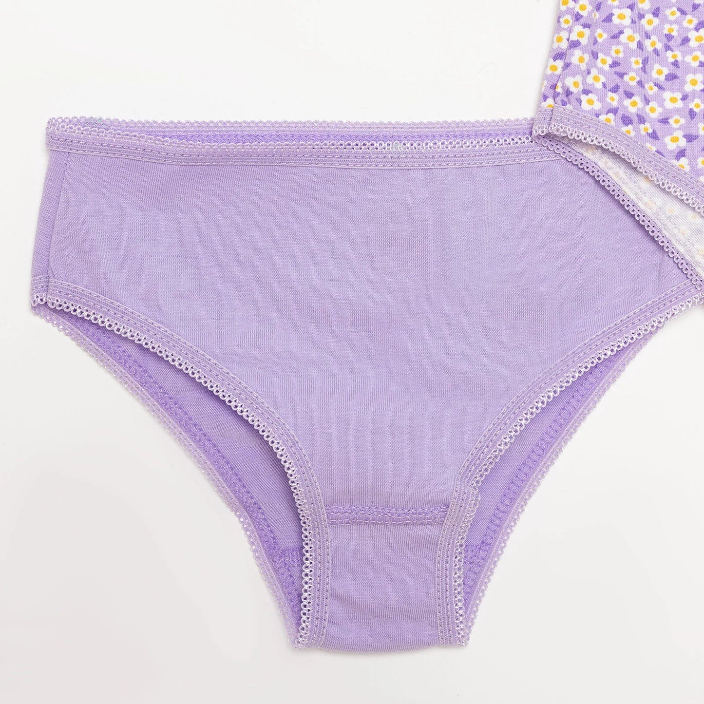 HelloBaby Baby Girl Underwear - Purple