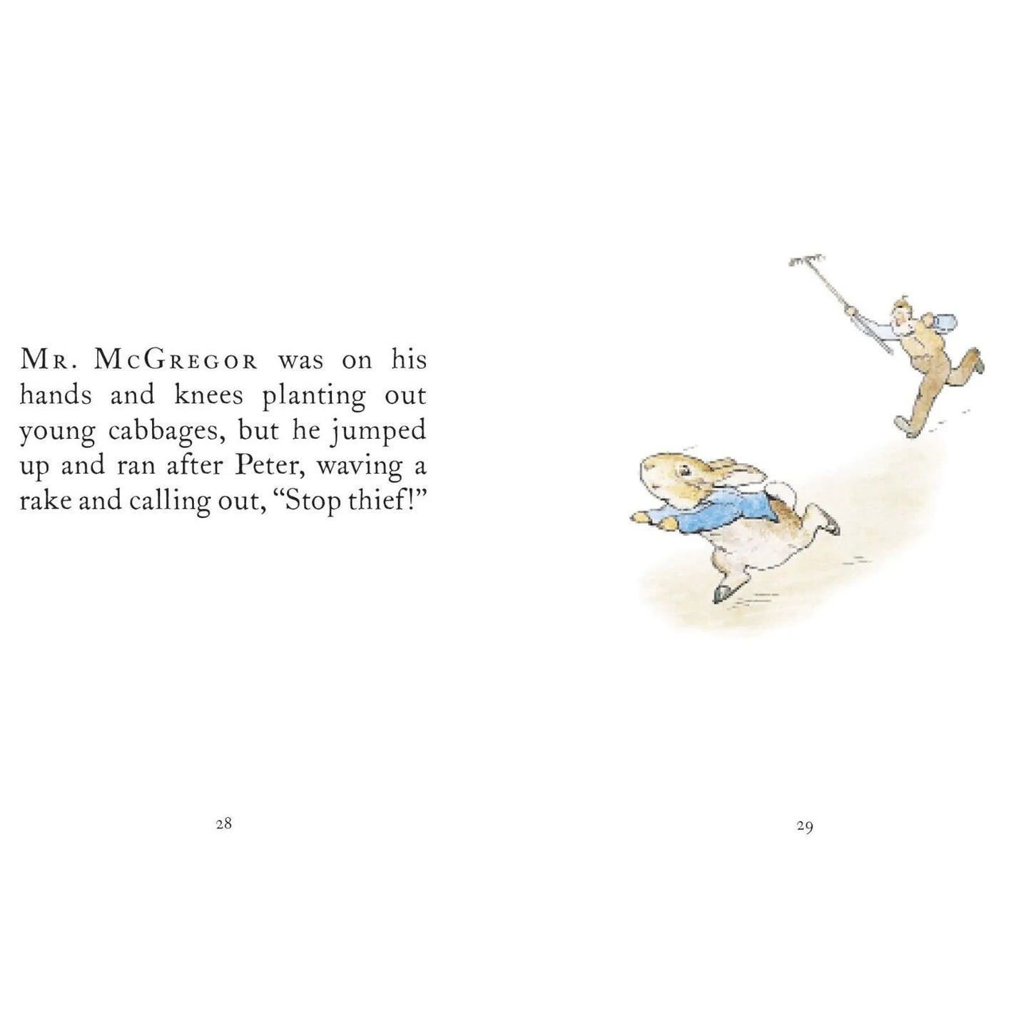 Peter Rabbit The Tale of Peter Rabbit