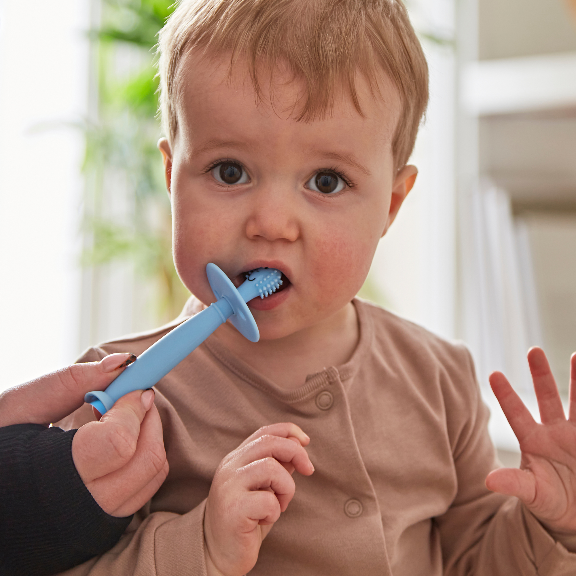Matchstick Monkey Training Toothbrush (Green/Blue) - Pack of 2