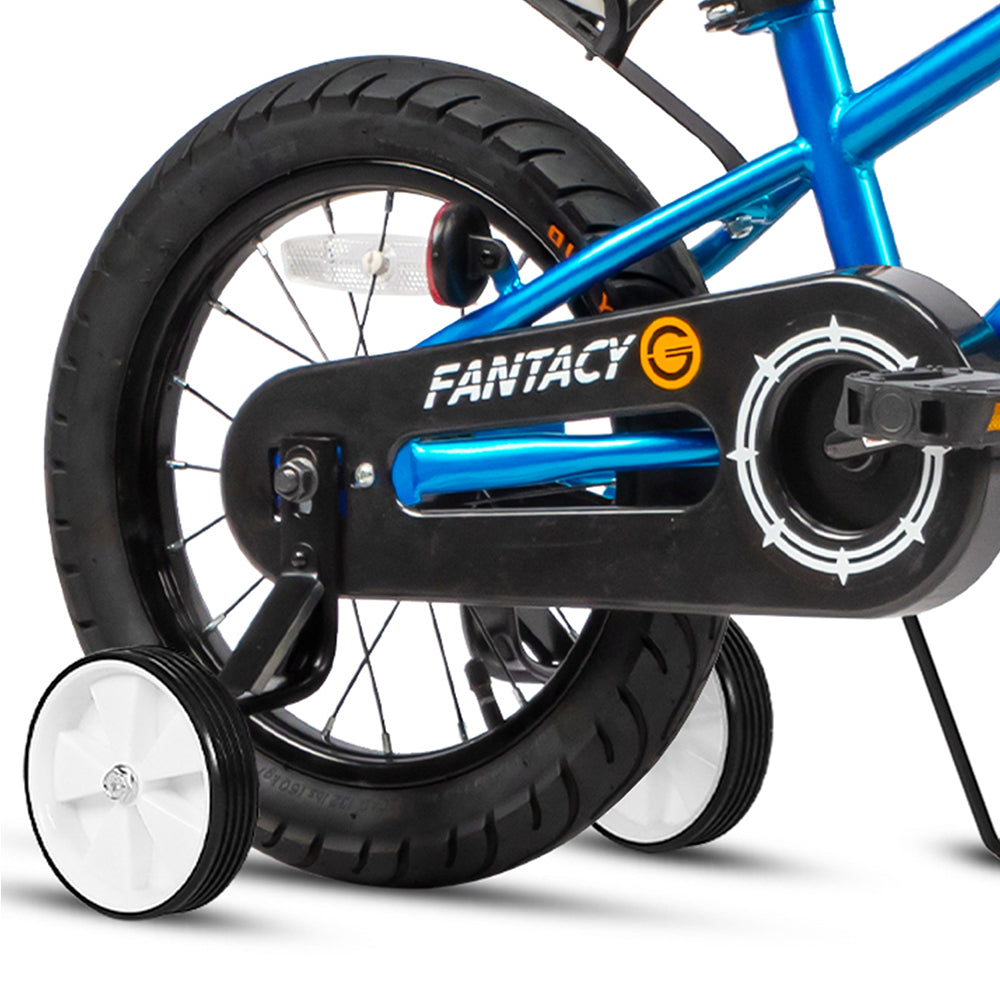 Glerc 16 Inch Kids Bike with Water Bottle - Fantacy