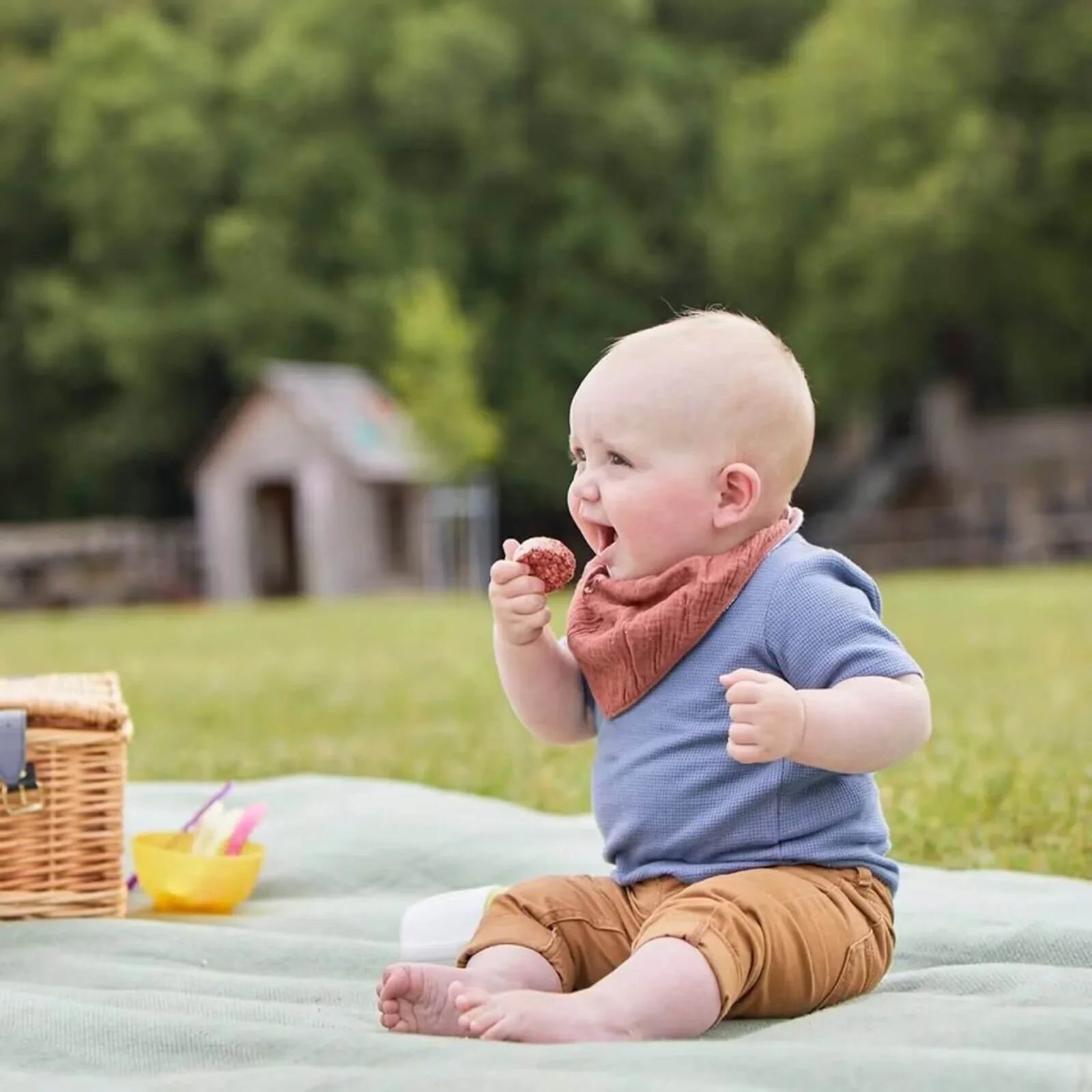 Organix Summer Fruits Rice Cake Clouds 7+ months 40g