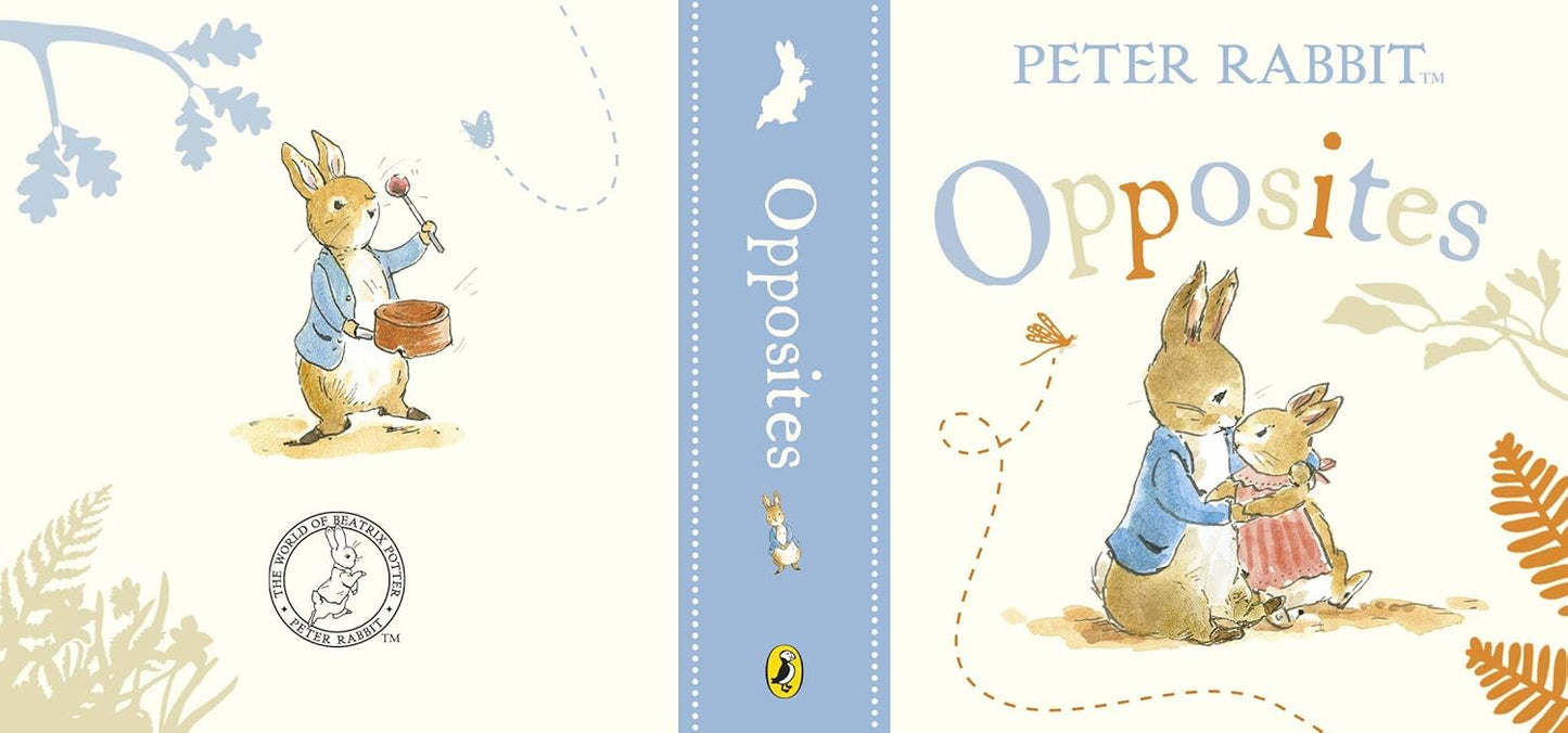 Rainbow Designs Peter Rabbit Tales Little Library