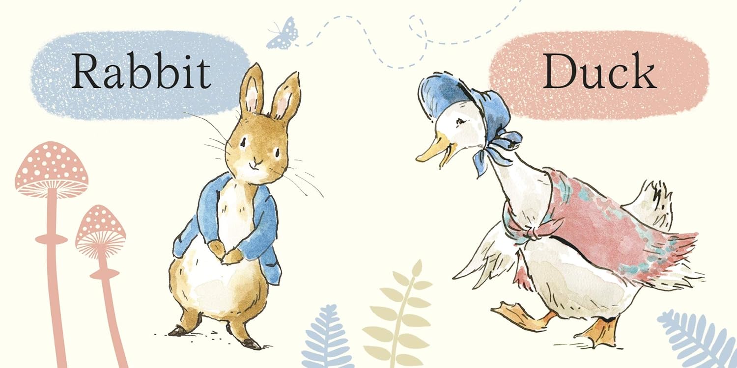 Rainbow Designs Peter Rabbit Tales Little Library