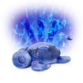 Cloud B Tranquil Turtle Rechargeable Projector Nightlight with White Noise Soothing Sounds - Ocean Blue (Colour)