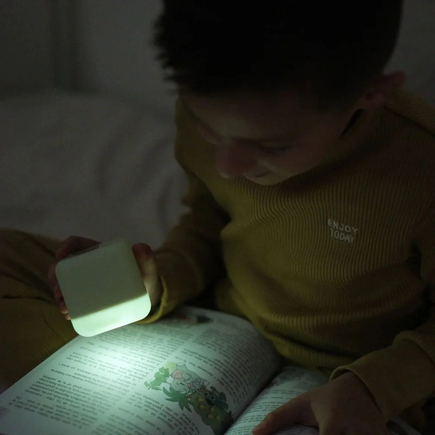 Cloud.b Cube B - Forest