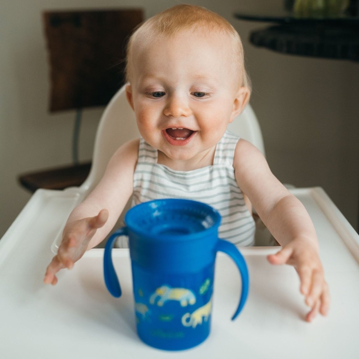 Dr. Brown's 360 Spoutless Transition Cup 300ml - Blue