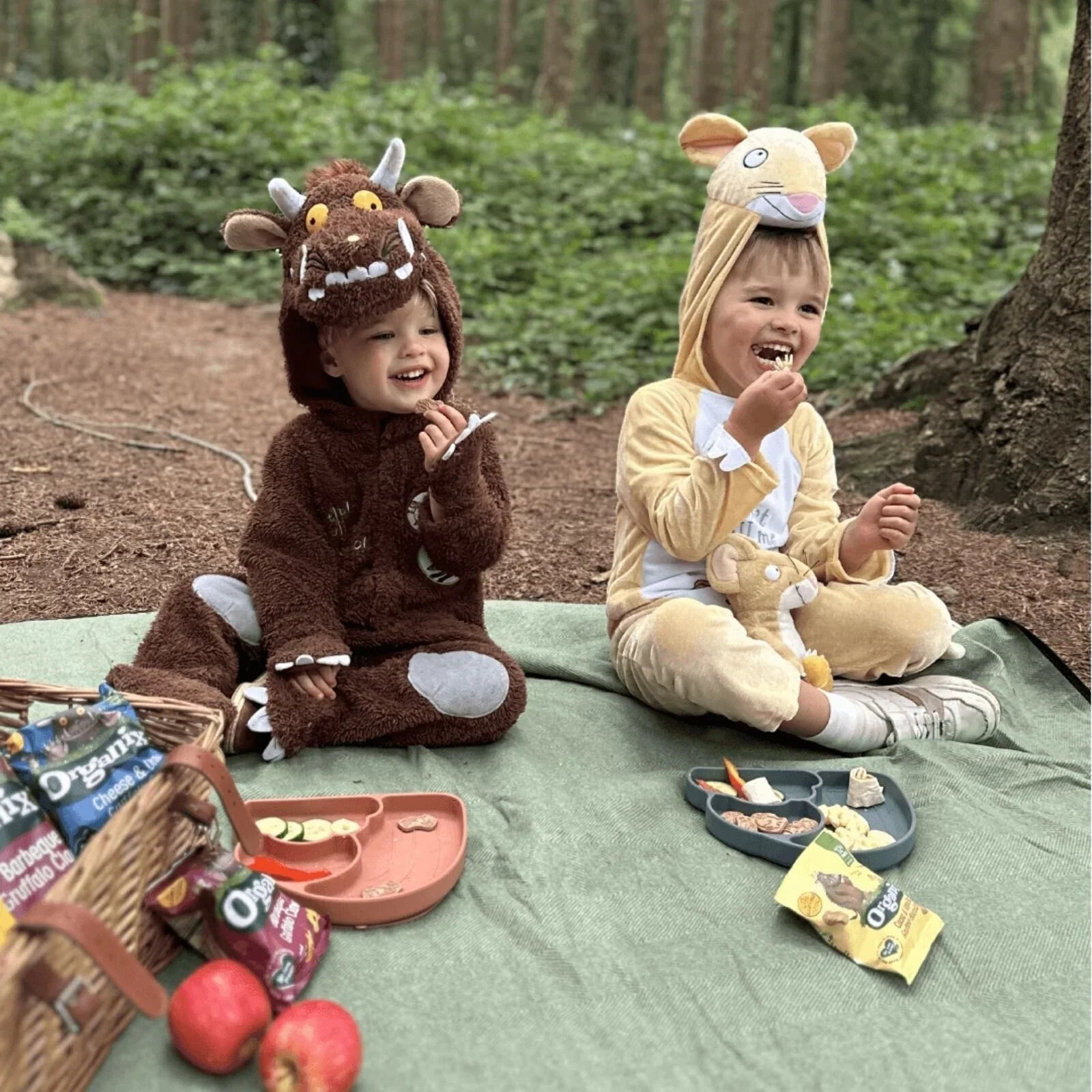 Organix Gruffalo Blackcurrant Fruit Bar 12+ months 102g (6x17g)