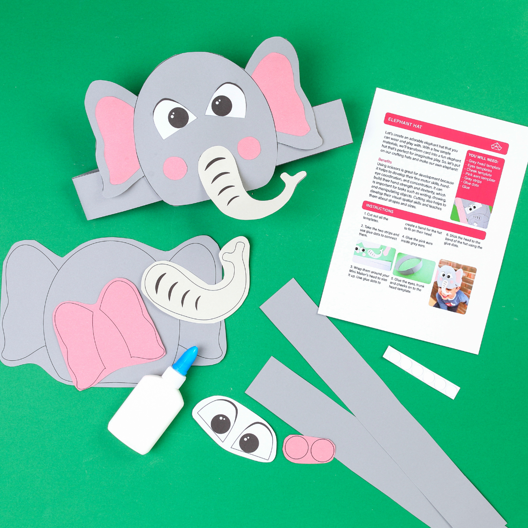 Safari Activity Kit