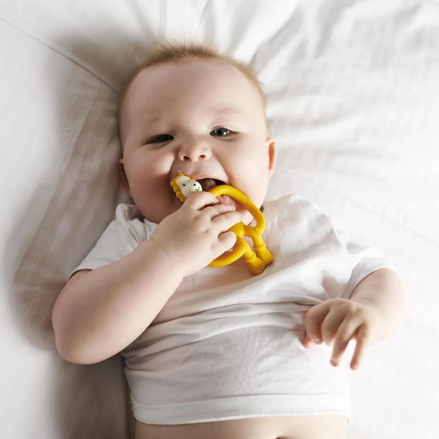 Matchstick Monkey Ludo Lion Teether