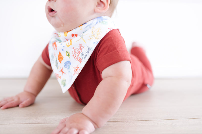 Copper Pearl Bibs Nautical 4Pk