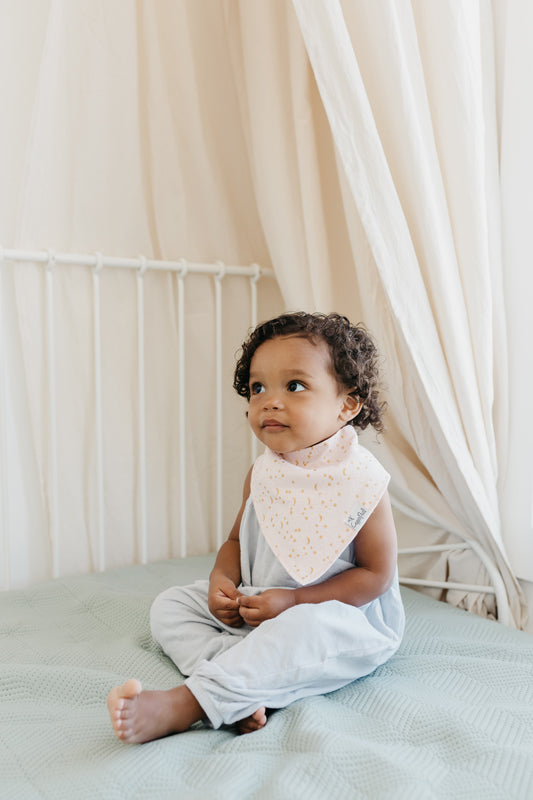 Copper Pearl Bibs Whimsy 4Pk