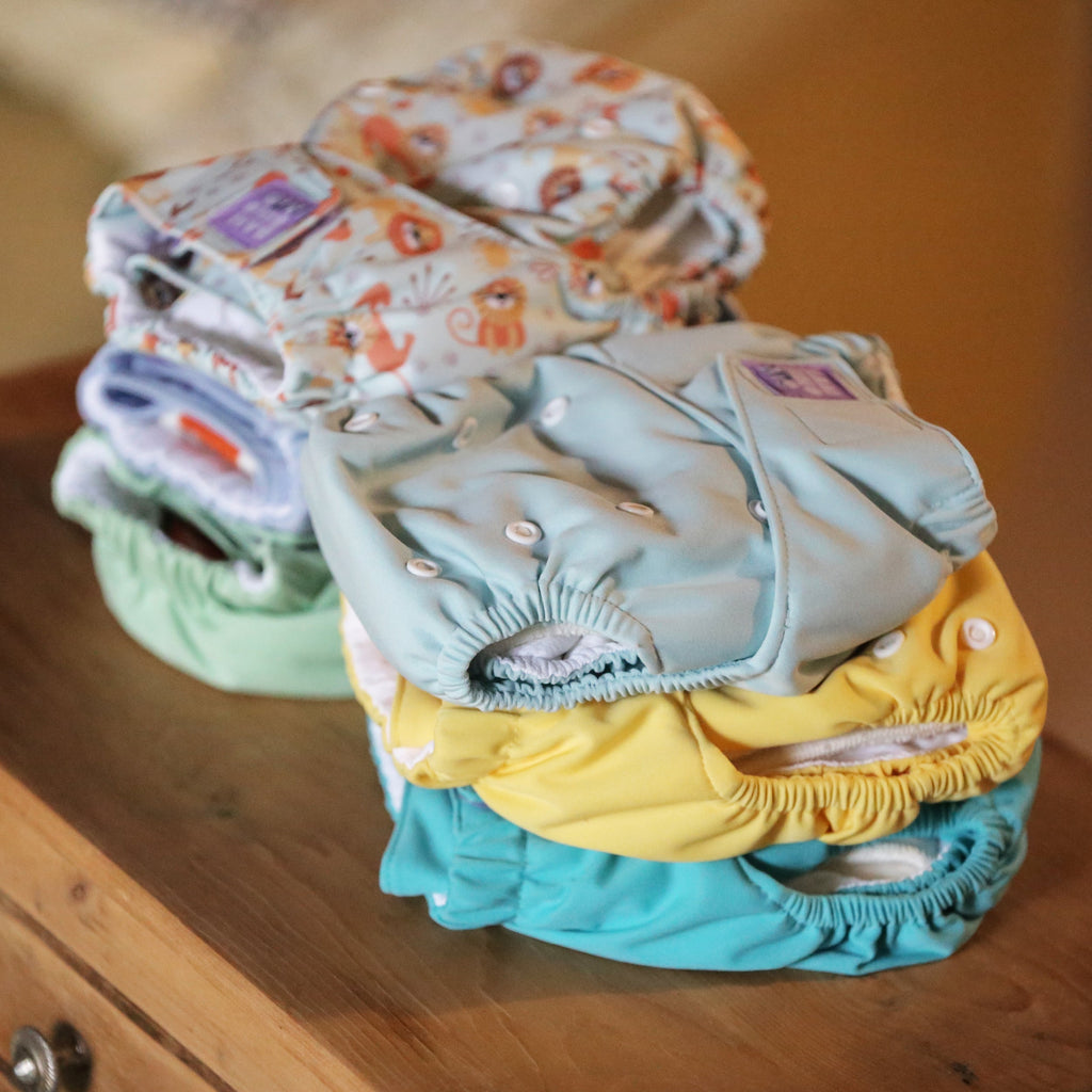 Revolutionary Reusable Nappy Bundle 5 Pack in Garden Party