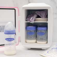 Lansinoh Milk Storage Bottles 160mls (Pack of 4)