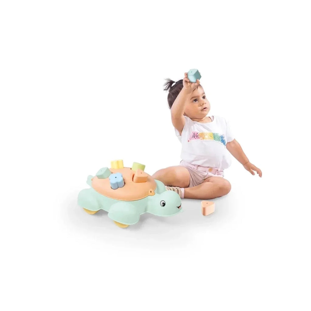 Dolu Turtle Shape Sorter 5 Piece