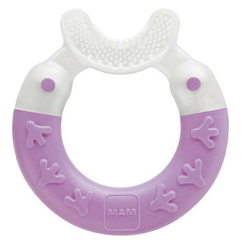 MAM Bite & Brush Teether (Purple)