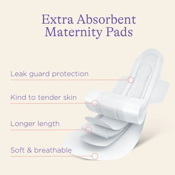Lansinoh Maternity Pads (Extra Absorbent) - Pack of 10