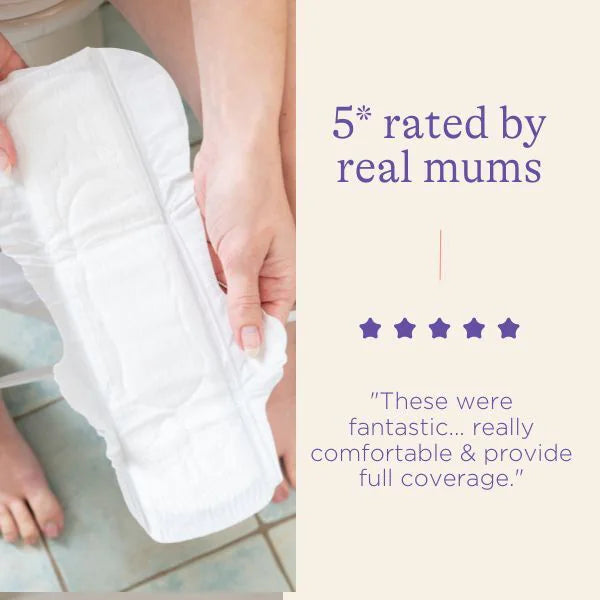 Lansinoh Maternity Pads (Extra Absorbent) - Pack of 10