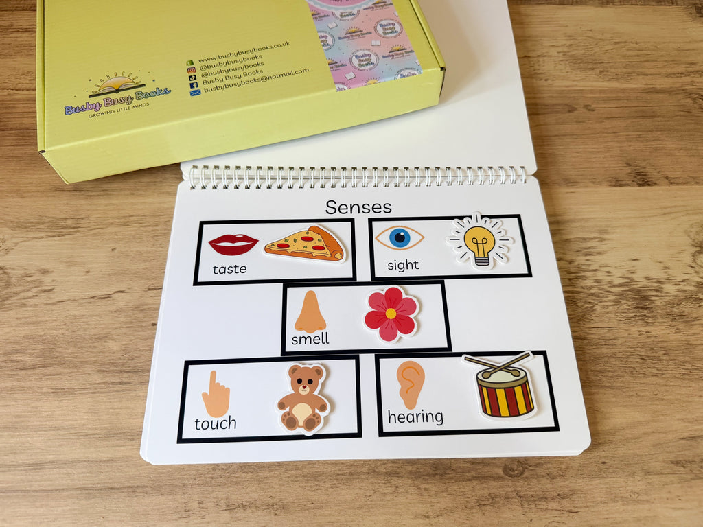 Book 2 - Age 4-6 years - Early Years Busy Book