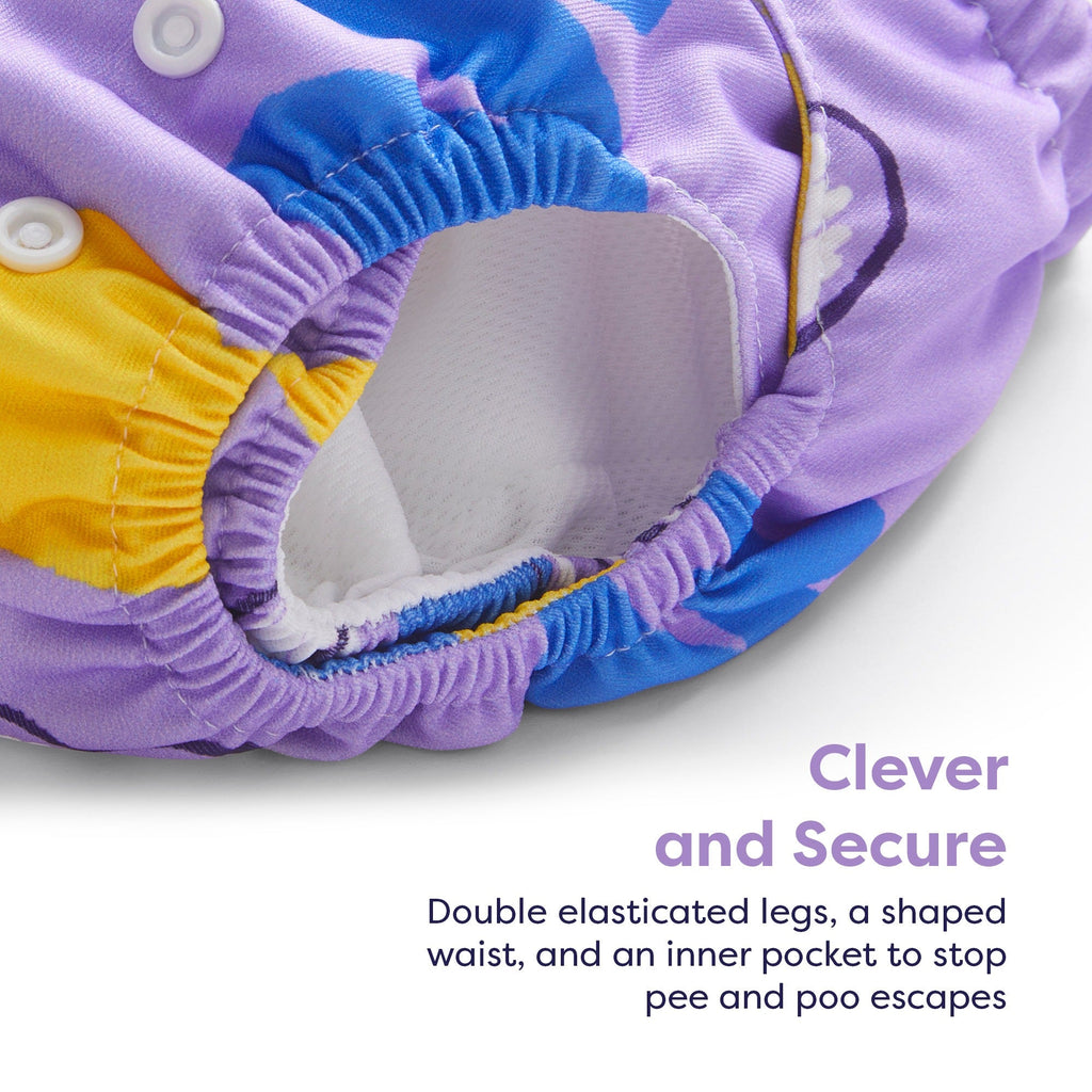 Revolutionary Reusable Nappy in Roar