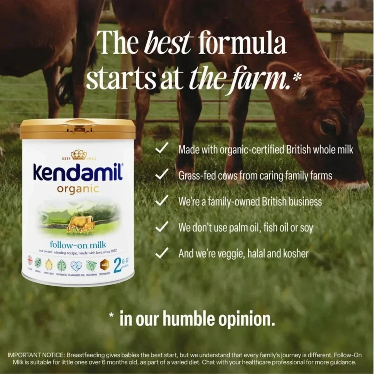 Kendamil Stage 2 Organic Follow On Milk Formula 6-12 months 800g