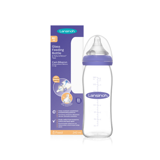 Lansinoh Feeding GLASS Bottle 240mls (Pack of 1) - Little Lug