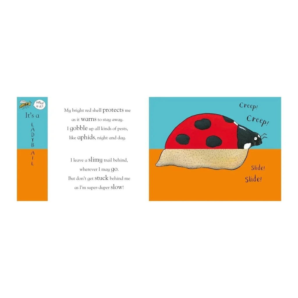 Nosy Crow Axel Scheffler's Flip Flap - Minibeasts