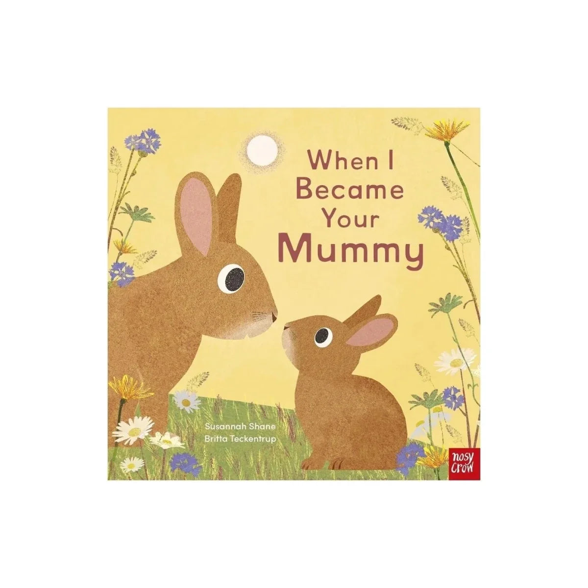 Nosy Crow When I Became Your Mummy