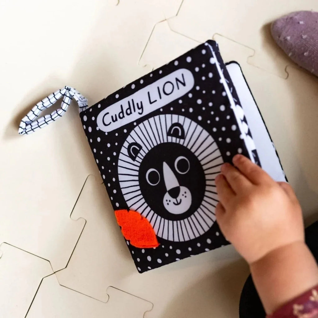 Nosy Crow Baby's First Cloth Book: Lion