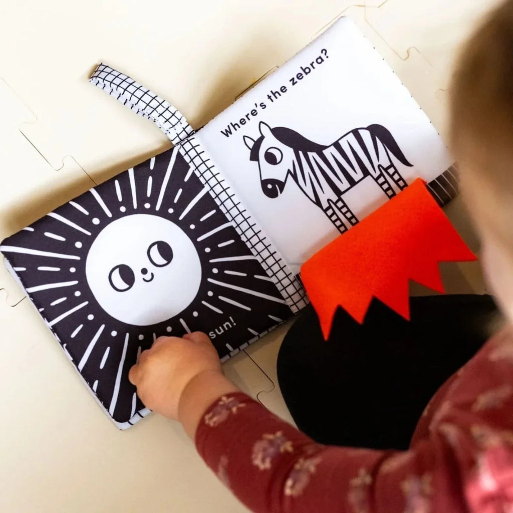 Nosy Crow Baby's First Cloth Book: Lion