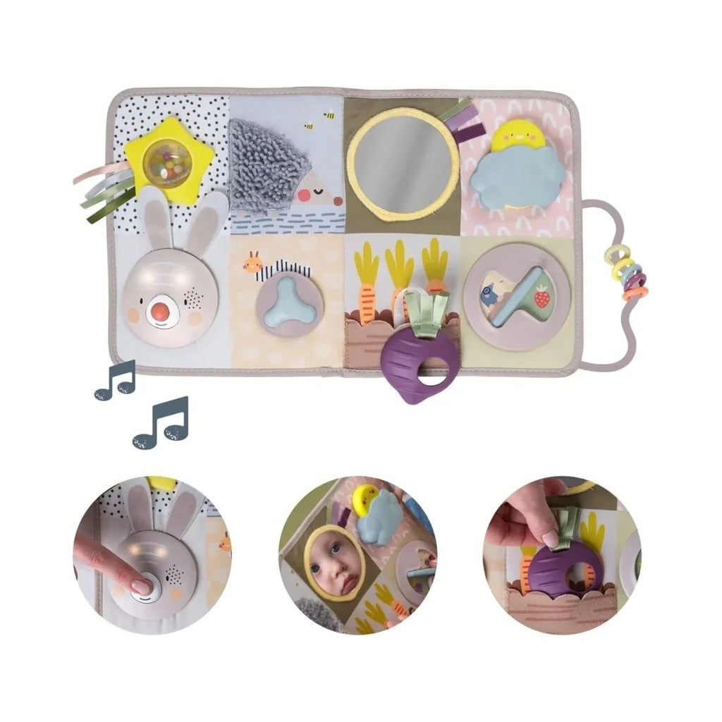 Taf Toys Developmental Activity Centre Book