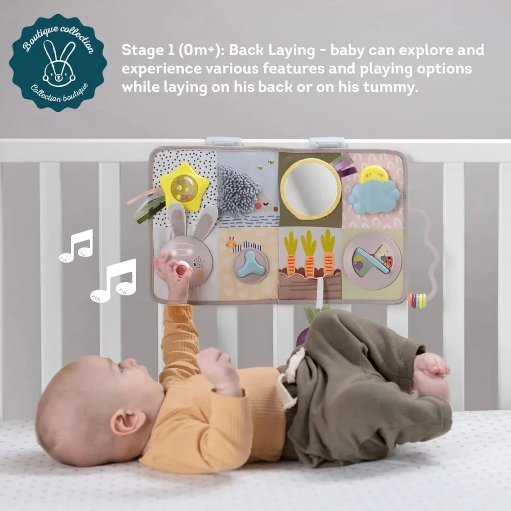 Taf Toys Developmental Activity Centre Book
