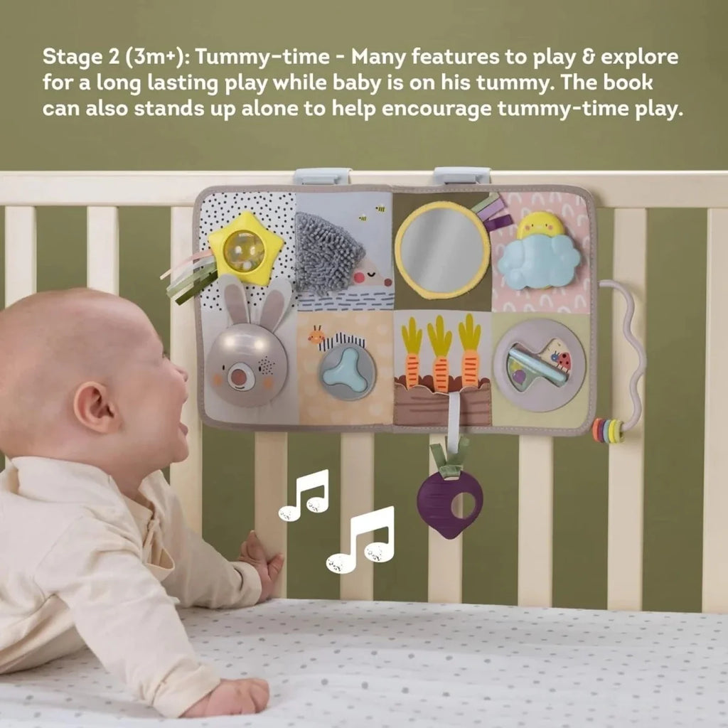 Taf Toys Developmental Activity Centre Book