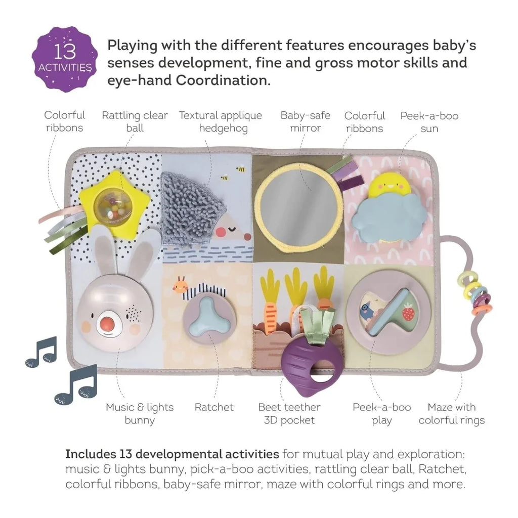 Taf Toys Developmental Activity Centre Book