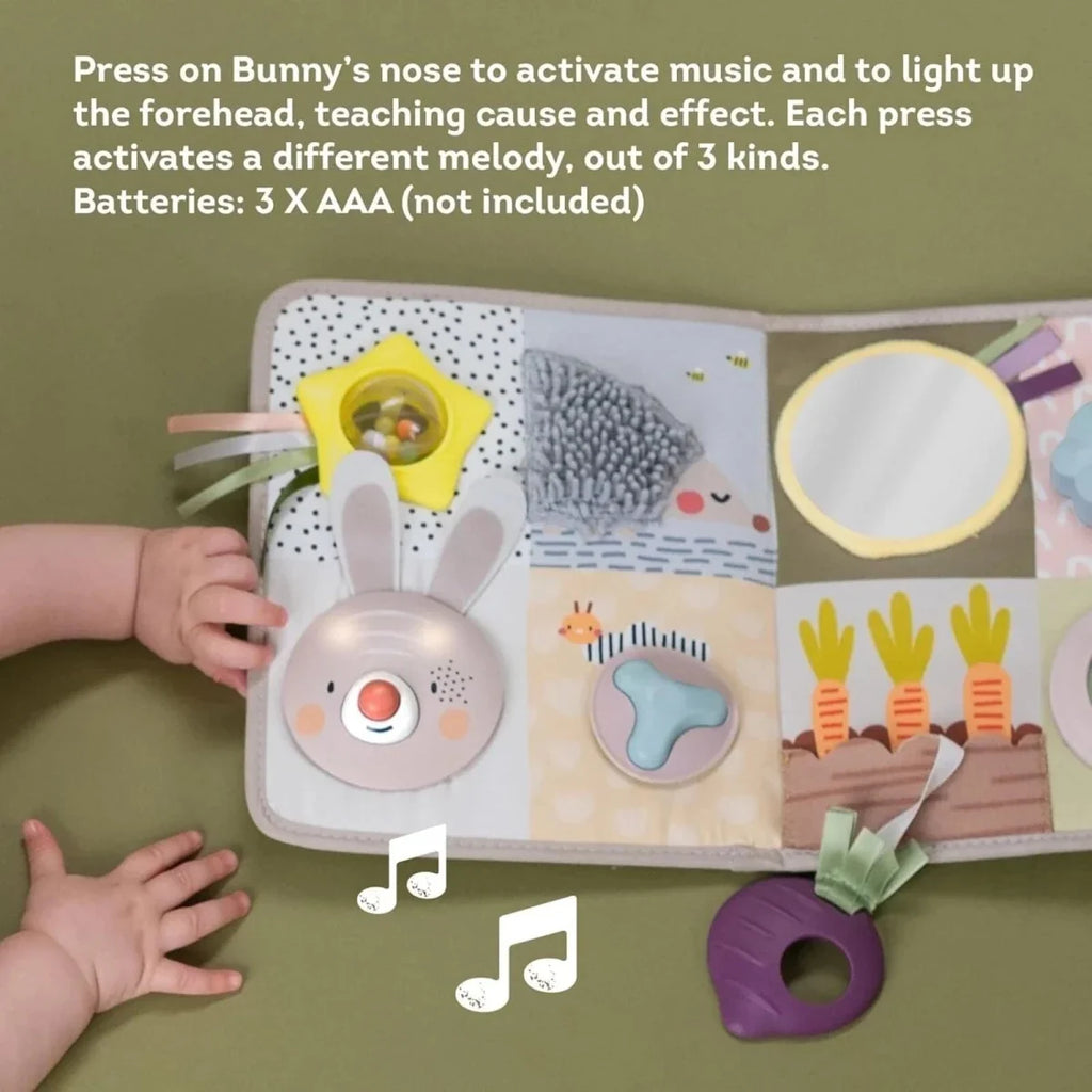 Taf Toys Developmental Activity Centre Book