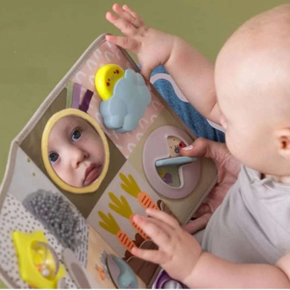 Taf Toys Developmental Activity Centre Book